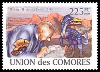 Znaczek: Komory 1962