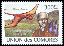 Znaczek: Komory 1963