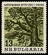 Znaczek: Bułgaria 1507